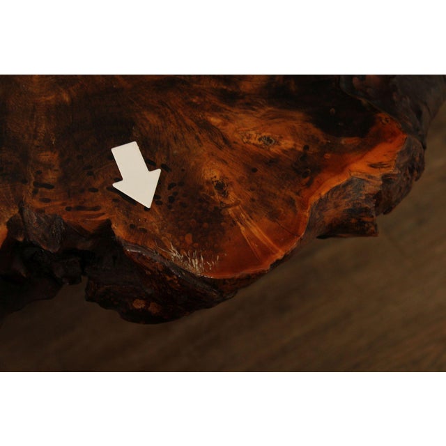 The Burlwood Co. Star Dust Redwood Burl Live Edge Coffee Table For Sale - Image 15 of 18