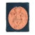 Orange Plaster Sculpture, Italy, 19th-20th Century For Sale - Image 8 of 8