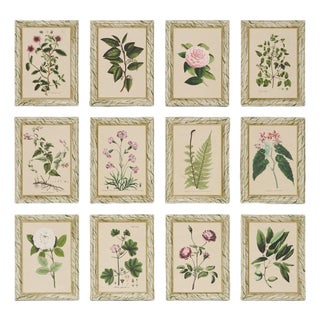 Sample - Schumacher x Johnson Hartig Garden's Trust Wallcovering in English Green For Sale
