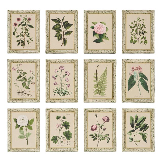 Sample - Schumacher x Johnson Hartig Garden's Trust Wallcovering in English Green For Sale