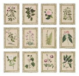 Example of Wallpaper Rolls