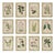 Sample - Schumacher x Johnson Hartig Garden's Trust Wallcovering in English Green For Sale