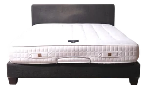 Double Bed with Motorized Base from Treca Interiors Paris, 2000s