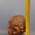 Binda, Sculpture Bust of Laughing Man, 20th Century, Red Marble For Sale - Image 13 of 14