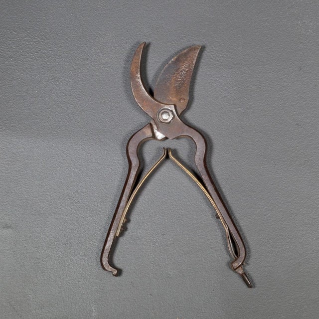 ABOUT Vintage steel parrot beak pruning shears with brass spring-loaded handle and lock. CREATOR P.S. & W. Co. Pexto,...
