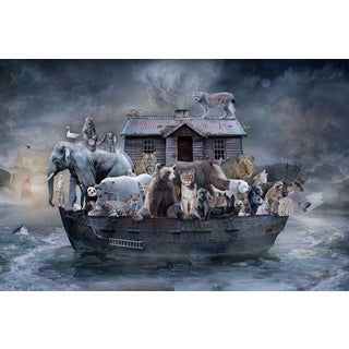 In Search of Safe Harbor by Marcin Owczarek | Photography - Dye Sublimation on Aluminum of animals on a boat For Sale