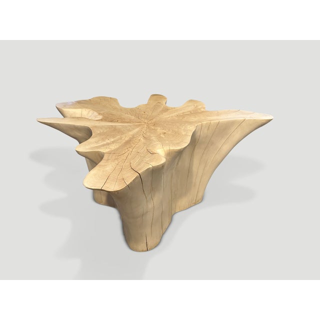 Andrianna Shamaris Amorphous Bleached Teak Wood Coffee Table For Sale - Image 12 of 18