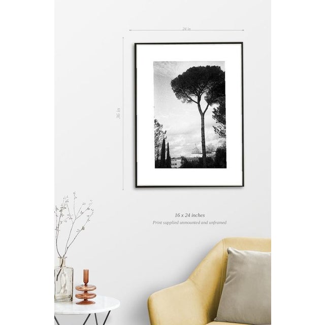 Fine art Giclee prints on Hahnemuhle Photo Rag 308gsm - a 100% cotton, acid-free, mould-made paper. Printed to Fine Art...