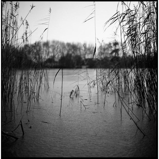 Paul Cooklin, Frozen Lake, Wivenhoe, Essex, Edition of 50 For Sale - Image 6 of 6