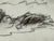 Drawing/Sketching Materials Drawing of European Laborer in Charcoal, Framed For Sale - Image 7 of 12