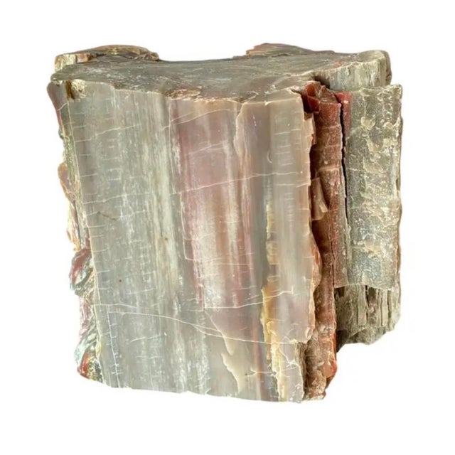 A substantial specimen of Petrified Wood that captures the quiet drama of a deep geological time. Weighing in at an...