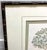 Early 20th Century Vintage Chinoiserie Fruit Tree Botanical Prints in Faux Bamboo Frames - Pair For Sale - Image 5 of 6