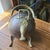 Antique Helmut Coal Scuttle Hand-Raised Seamless Hand Hammered Copper Brass Accents Footed For Sale - Image 4 of 14