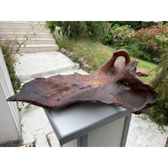 Brutalist Large Brutalist Wood Bowl in Brown Patina, France, 1960s For Sale - Image 3 of 10