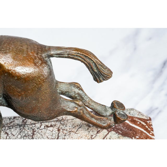 Bronze Finely Cast Vintage Bronze Jumping Horse Statue Sculpture Marble Base Equestrian For Sale - Image 8 of 14