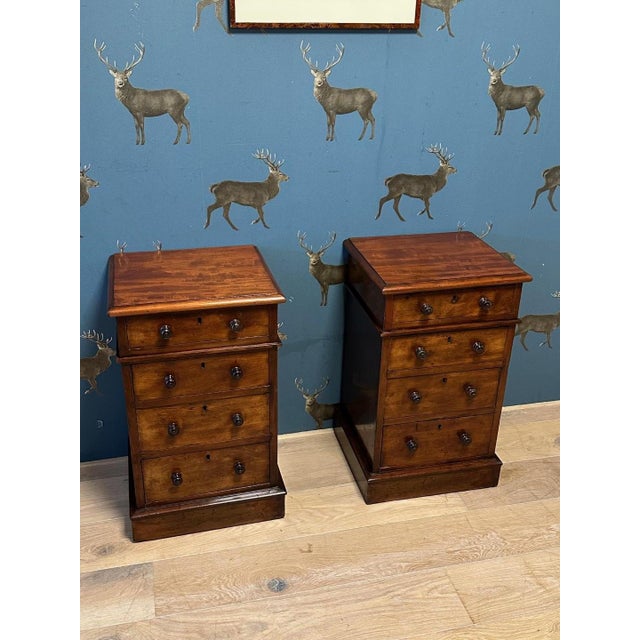 Antique Nightstands in Mahogany, Set of 2 For Sale - Image 11 of 12