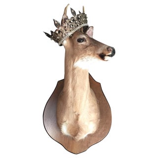 Large Mounted Deer Head Stag For Sale