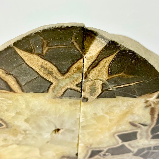 Mid-Century Abstract Geometric Boho Chic Septarian Stone Bookends - A Pair For Sale - Image 6 of 16