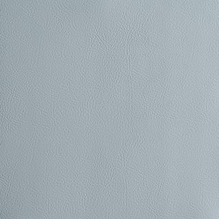 Schumacher Vegan Leather Indoor/Outdoor Fabric In Cornflower For Sale