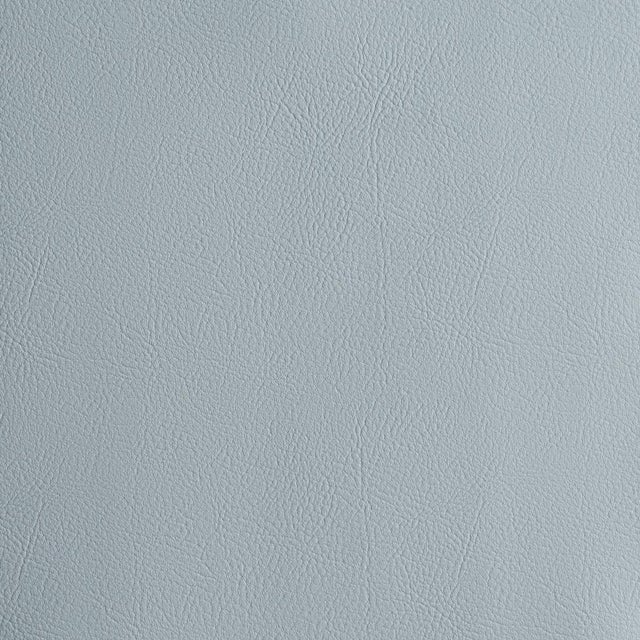 Schumacher Vegan Leather Indoor/Outdoor Fabric In Cornflower For Sale