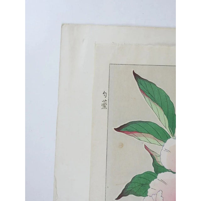 1950s Vintage 1950s Kawarazaki Shodo Pink Peony Woodblock Print For Sale - Image 5 of 7