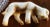 Ceramic Large Ceramic Lamb or Sheep Figurine, 1960s For Sale - Image 7 of 12
