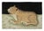 Traditional Rug & Kilim's Contemporary Gift-Sized Tibetan Style Rug With Tiger Design For Sale - Image 3 of 6