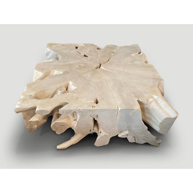 Andrianna Shamaris Impressive Bleached Teak Wood Coffee Table or Console For Sale - Image 16 of 18