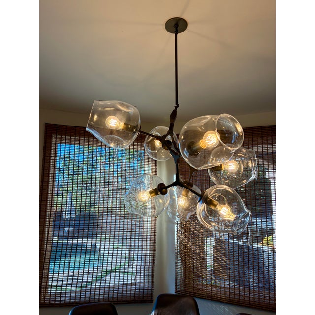Lindsey Adelman Studio Branching Bubble Chandelier, Model bb.07.59 For Sale - Image 4 of 7