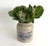 By far the largest mustard pot you've ever seen. This Bocquet vintage French stoneware mustard pot was used for commercial...