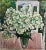 Gleb Savinov, White Flowers, 1990, Oil on Canvas For Sale - Image 7 of 7