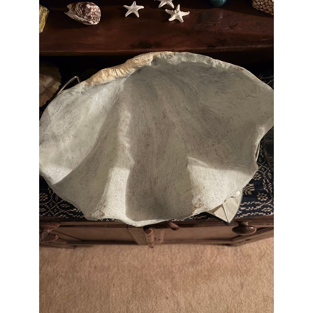 Faux Plaster Decorative Clam Shell For Sale - Image 9 of 12
