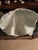 Faux Plaster Decorative Clam Shell For Sale - Image 9 of 12