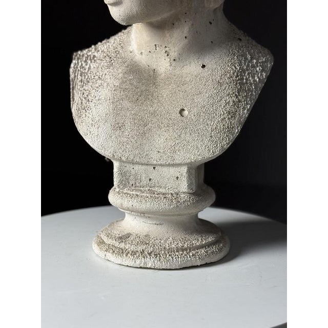 Classical Bust of Antinous, 2000s For Sale - Image 12 of 18