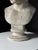 Classical Bust of Antinous, 2000s For Sale - Image 12 of 18