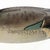 Folk Art Carved Duck Decoy Box For Sale - Image 3 of 11