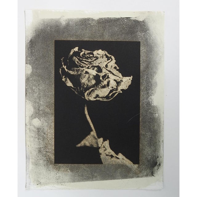 Late 20th century photograph on heavy paper by Eric C. Weller (20th century) Texas. In black and gray. Unsigned, Eric...