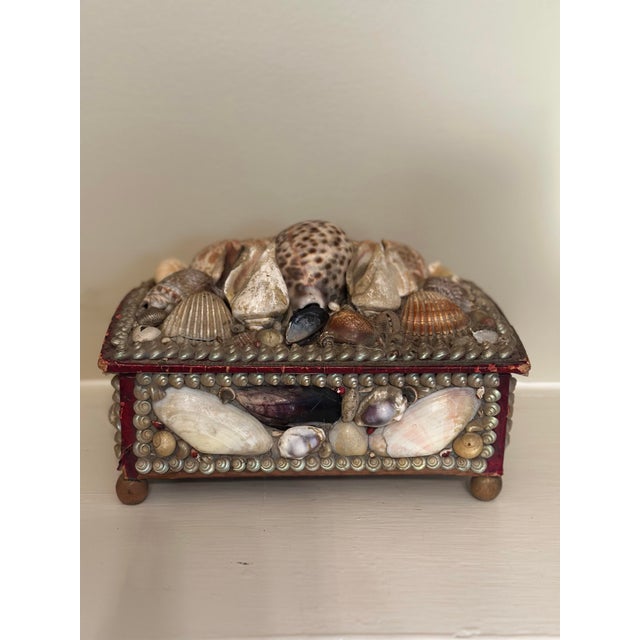 Antique Shell Box For Sale - Image 12 of 12
