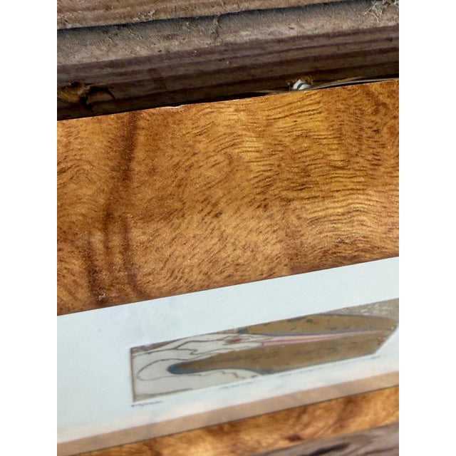 Limited Edition Egret Etching “Aria” by M. Albritton in Faux Burl Wood Frame For Sale - Image 9 of 12