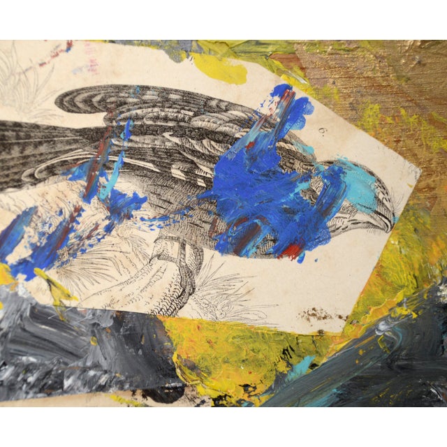 Brown Assemblage #5 (Ornithology Illustrations & Glass Slide With Silver, Gold Paint) by Michael Pauker For Sale - Image 8 of 10