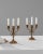 This exquisite pair of 19th Century French Brass Candle Holders is a testament to the opulent design and craftsmanship of...