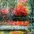 Contemporary "Autumn in Giverny" Framed Contemporary Expressionist Style Landscape Acrylic Painting For Sale - Image 3 of 12
