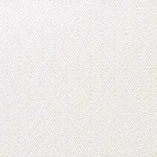 Schumacher Avila Embroidery Fabric in Ivory For Sale