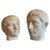 Young and Older Julius Caesar Plaster Heads, Set of 2 For Sale - Image 15 of 15