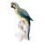 19th Century German Porcelain Macaw or Parrot Type Figure by Karl Ens For Sale