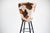 Vintage Industrial Animal Print Stools, Set of 3 For Sale - Image 4 of 7