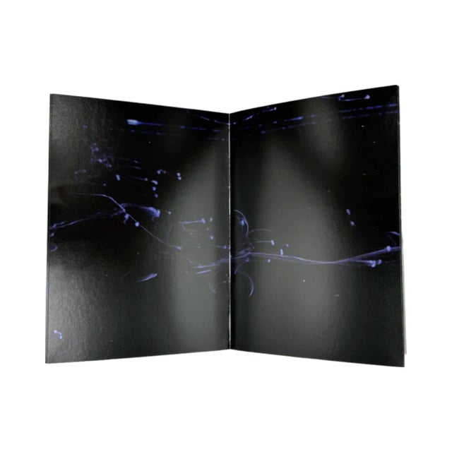 Beatrice Pediconi Untitled Le Sirenuse Hotel Positano Italy Book For Sale - Image 4 of 12