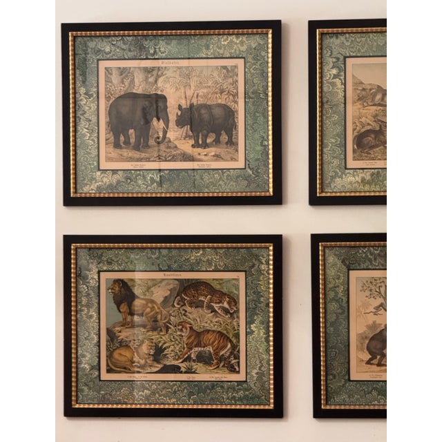 Set of Nine Gotthilf Von Schubert Natural History Chromolithographs For Sale - Image 6 of 17
