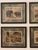 Set of Nine Gotthilf Von Schubert Natural History Chromolithographs For Sale - Image 6 of 17
