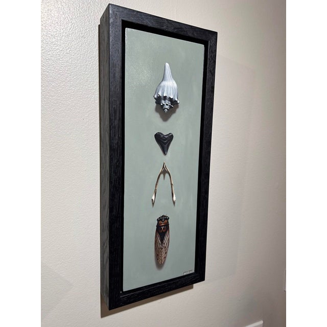 Contemporary Found by Patrick Nevins | Oil on wood Still life of shells, stones, and a cicada. For Sale - Image 3 of 4